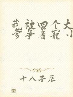 我被四个大佬爹爹争着宠 小说