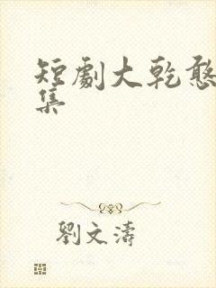 短剧大乾憨婿全集