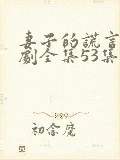 妻子的谎言电视剧全集53集