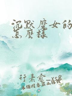 沉默魔女的秘密怎么样