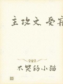 主攻文 受宠攻