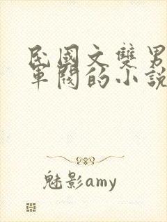 民国文双男主是军阀的小说