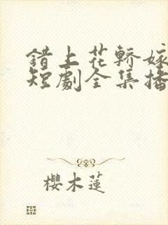 错上花轿嫁王爷短剧全集播放