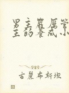 男主严厉管教女主的养成小说