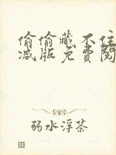 偷偷藏不住无删减版免费阅读