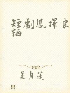 短剧凤择良木而栖