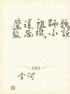 魔道祖师魏无羡蓝忘机小说txt免费