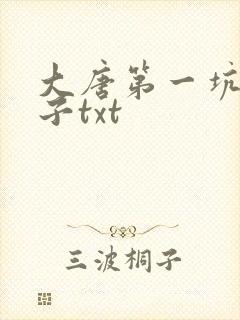 大唐第一坑爹皇子txt