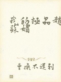 我的极品赵春城苏媚