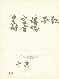 农家娘子致富记好看吗