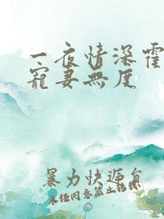 一夜情深霍先生宠妻无度