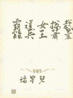 霸道女总裁的全能兵王萧晨