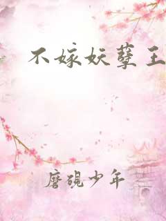 不嫁妖孽王爷