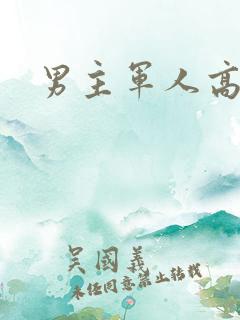 男主军人高干文