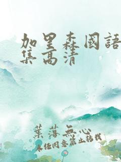 加里森国语版全集高清