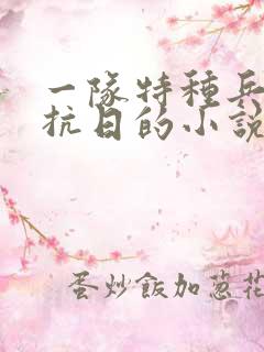 一队特种兵穿越抗日的小说