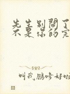 先生别闹了新娘不是你的完整