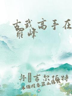 古武高手在都市 罗峰