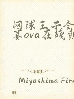 网球王子全国大赛ova在线观看