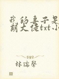 我的妻子是大乘期大佬txt小说