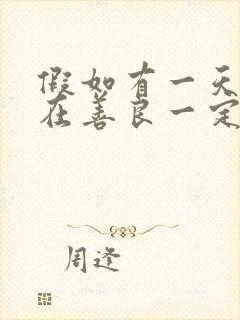 假如有一天我不在善良一定是善良让我受了伤