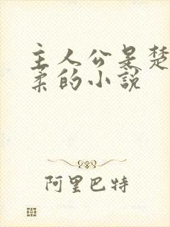 主人公是楚枫苏柔的小说