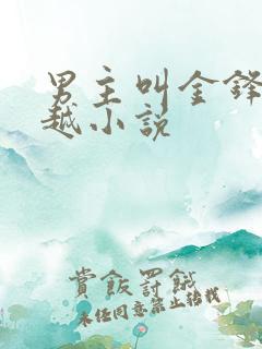 男主叫金锋的穿越小说