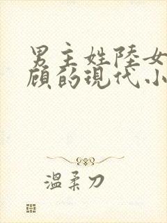 男主姓陆女主姓顾的现代小说