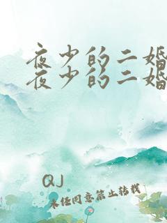 夜少的二婚新妻夜少的二婚新妻