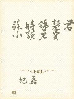 苏时锦楚君彻的小说免费