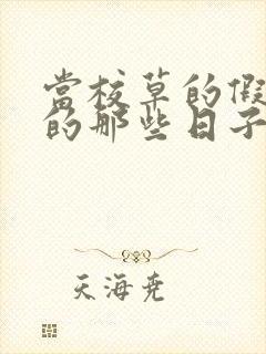 当校草的假男友的那些日子小说全文免费阅读