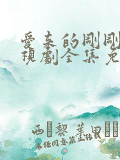 爱来的刚刚好电视剧全集免费观看