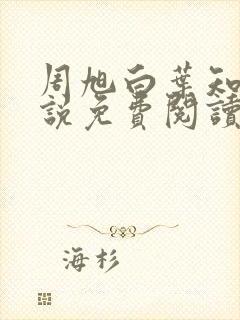 周旭白叶知韵小说免费阅读最新章节