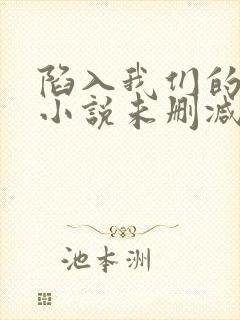 陷入我们的热恋小说未删减版