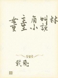 女主角叫林月的重生小说