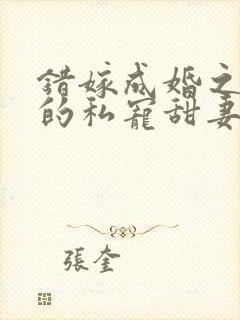 错嫁成婚之总裁的私宠甜妻完整版