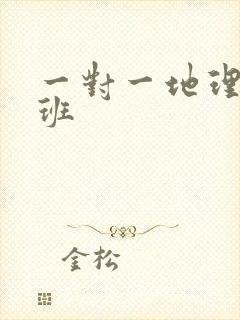 一对一地理辅导班