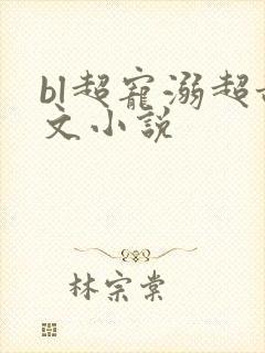 bl超宠溺超甜文小说