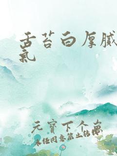 舌苔白厚腻有口气