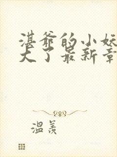 湛爷的小妖精长大了最新章节