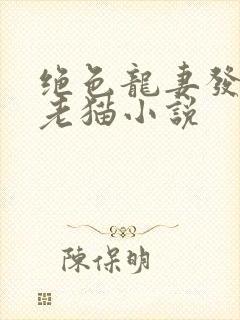 绝色龙妻发呆的老猫小说