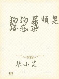 狗狗尿频是尿路路感染