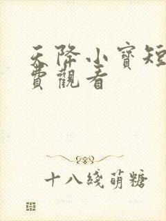 天降小宝短剧免费观看