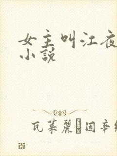 女主叫江夜棠的小说