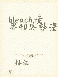 bleach境界40集动漫免费看全集