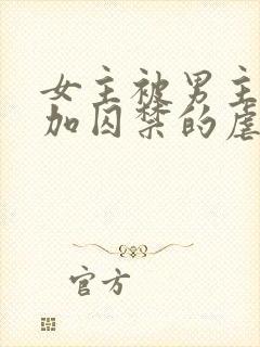 女主被男主qj加囚禁的虐文