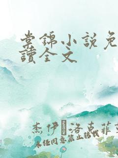 棠锦小说免费阅读全文