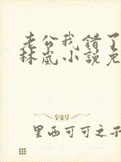 老公我错了赵凯林岚小说免费阅读