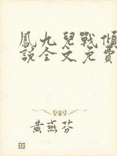 凤九儿战倾城小说全文免费阅读无弹窗