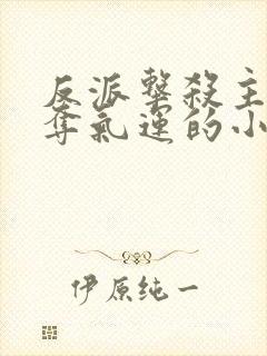 反派击杀主角掠夺气运的小说